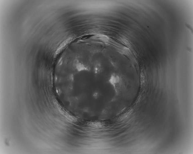 X0000100880349200807071132