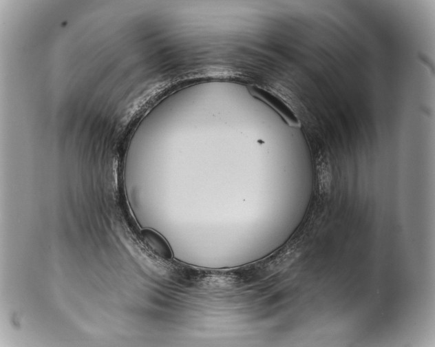 X0000100880350200807071132