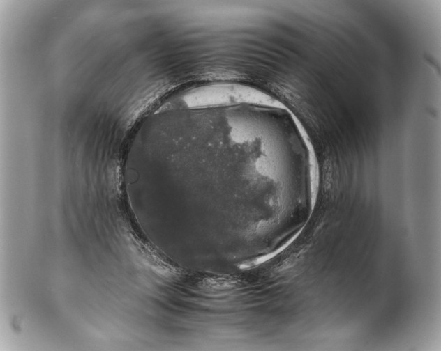 X0000100880351200807071132