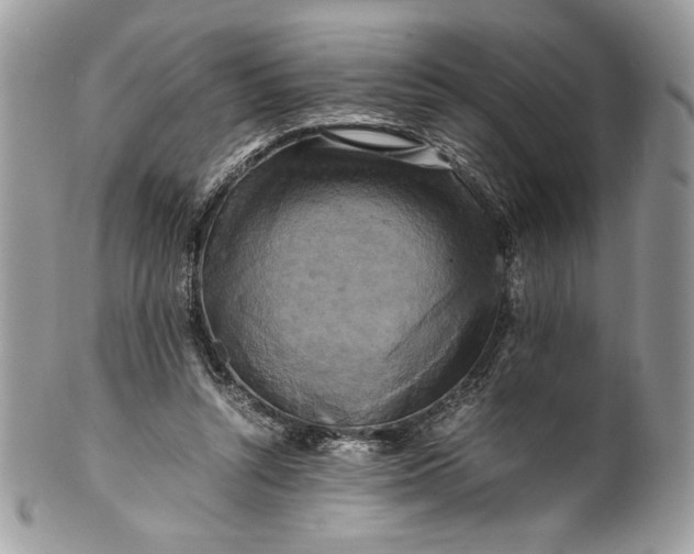 X0000100880352200807071132