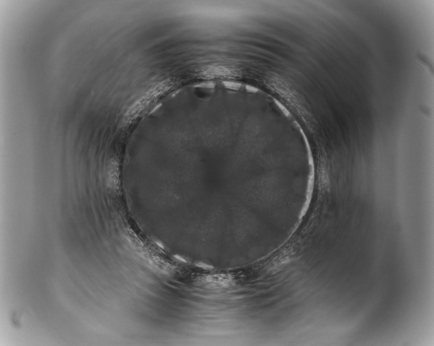 X0000100880353200807071132