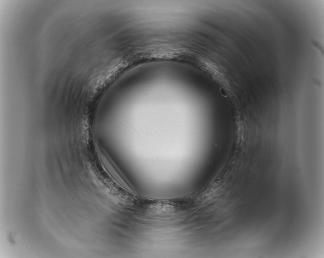 X0000100880354200807071132