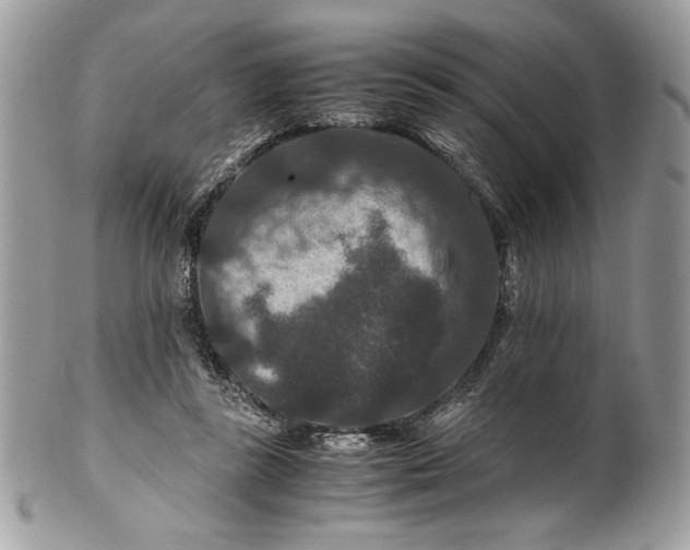 X0000100880355200807071132