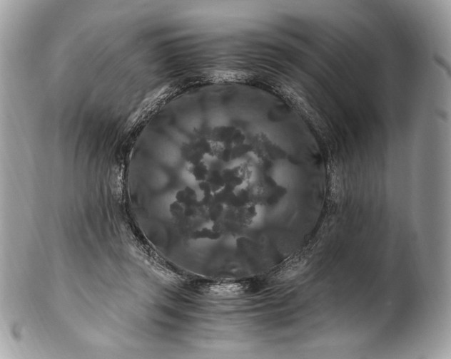 X0000100880357200807071132