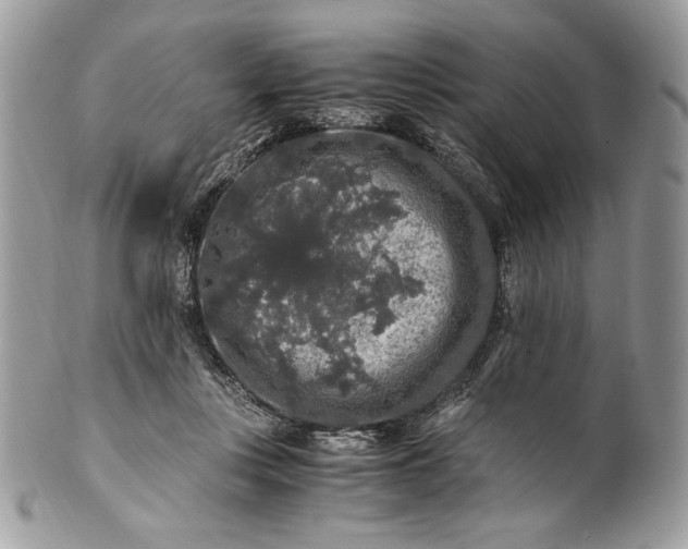 X0000100880359200807071132