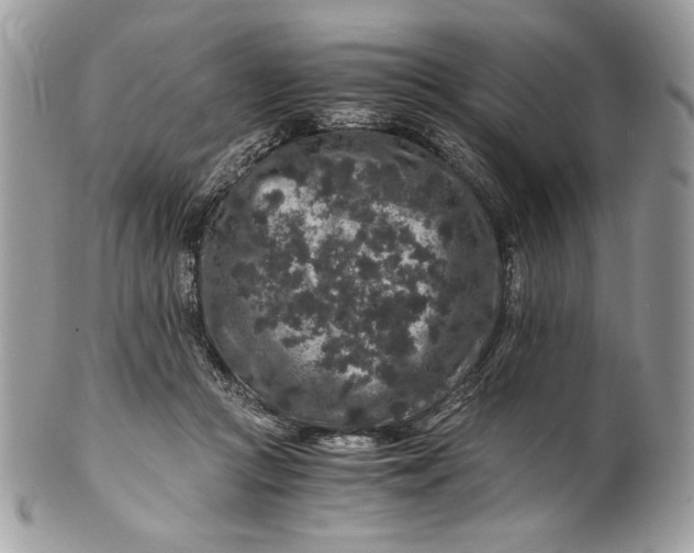 X0000100880361200807071132