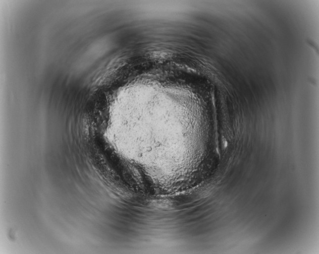 X0000100880363200807071132