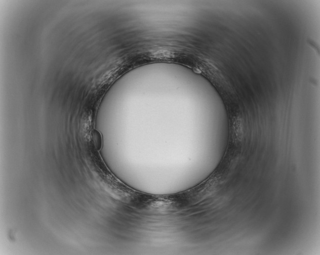 X0000100880364200807071132