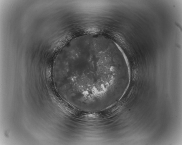 X0000100880365200807071132