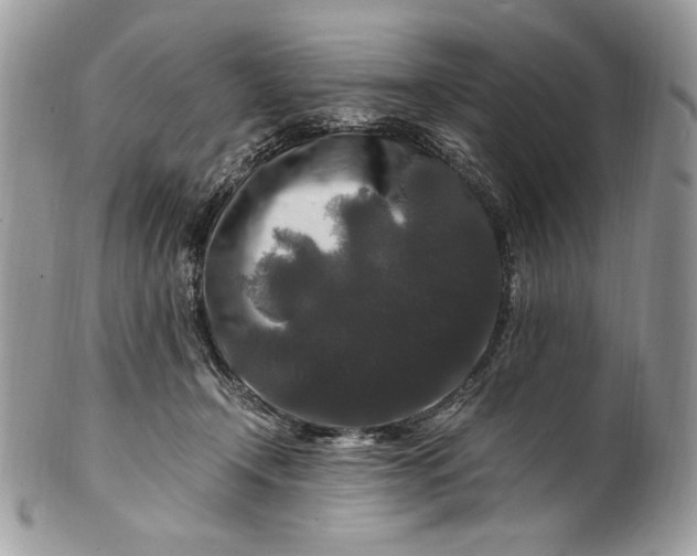 X0000100880366200807071132