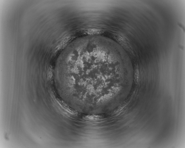 X0000100880367200807071132