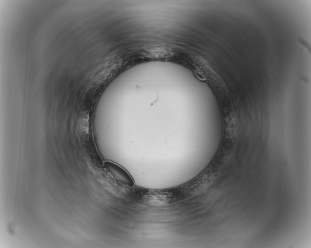 X0000100880368200807071132