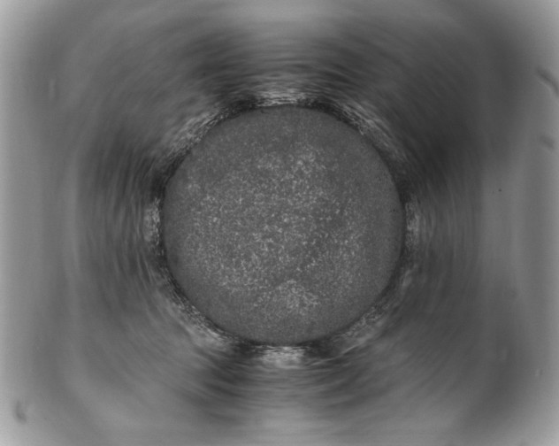 X0000100880369200807071132