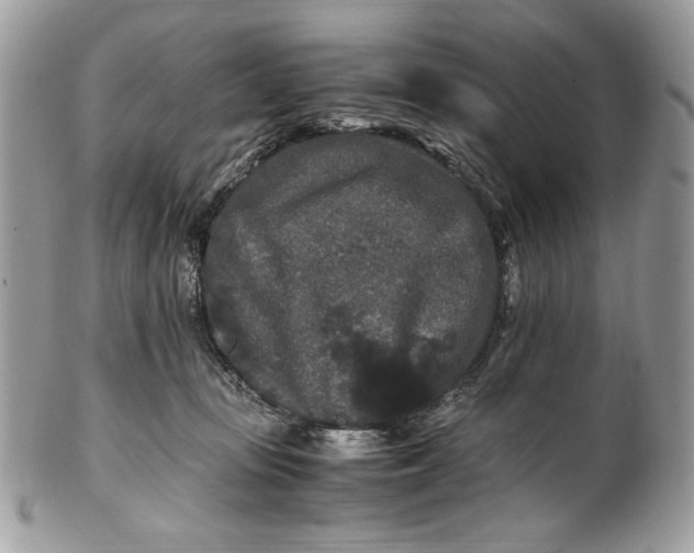 X0000100880371200807071132