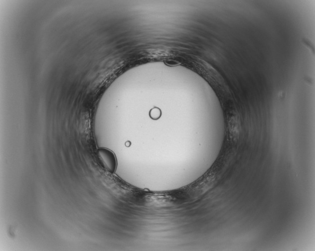 X0000100880372200807071132