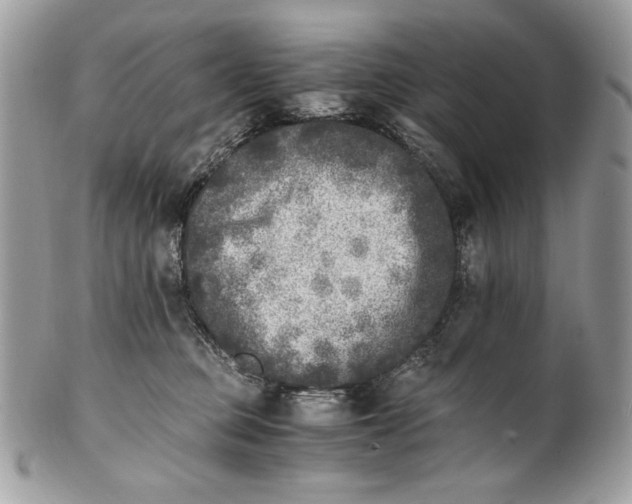 X0000100880373200807071132