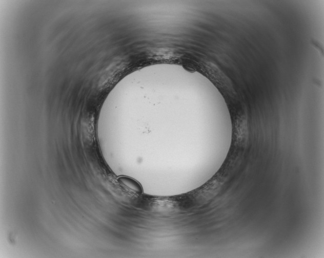 X0000100880376200807071132