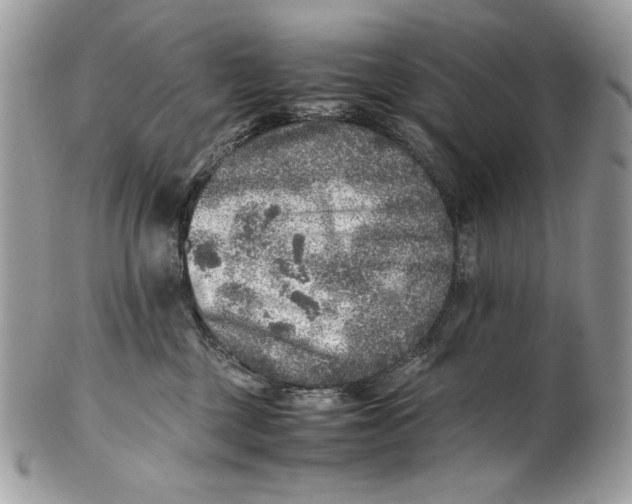 X0000100880377200807071132