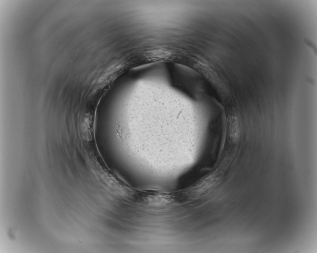 X0000100880378200807071132