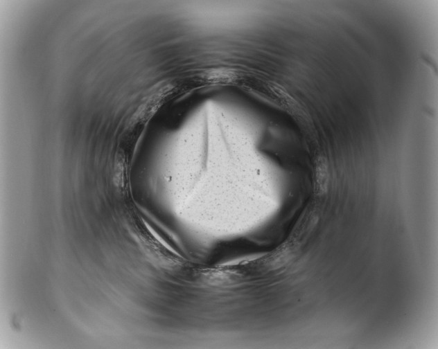 X0000100880379200807071132