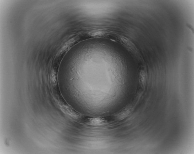 X0000100880380200807071132