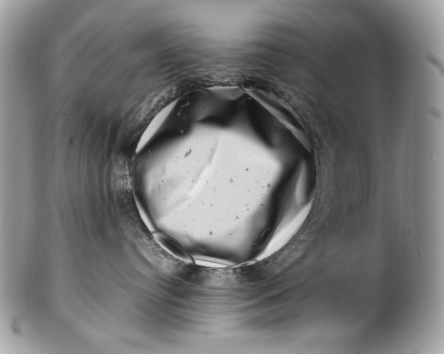 X0000100880384200807071132