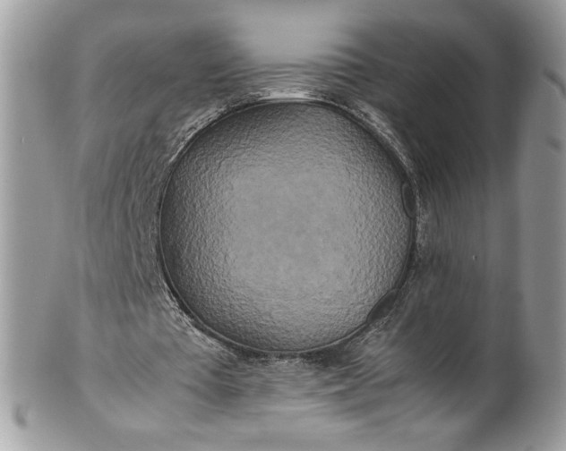 X0000100880385200807071132