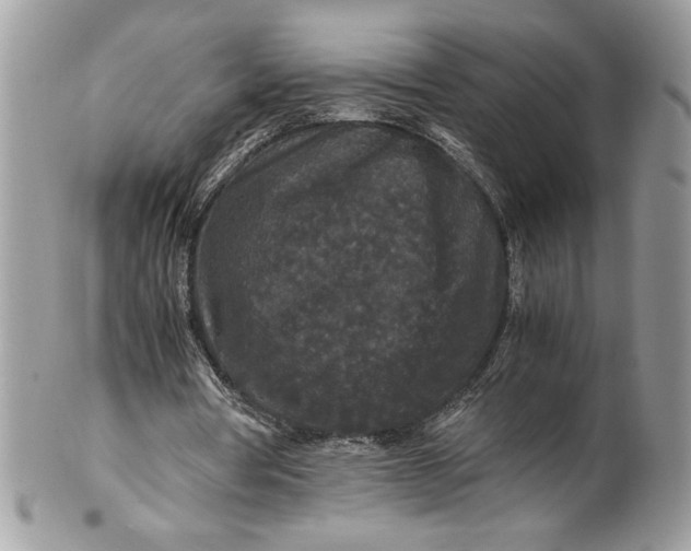 X0000100880386200807071132