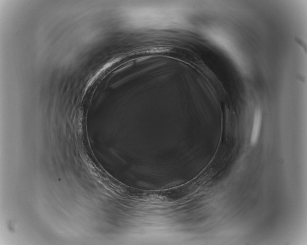 X0000100880387200807071132