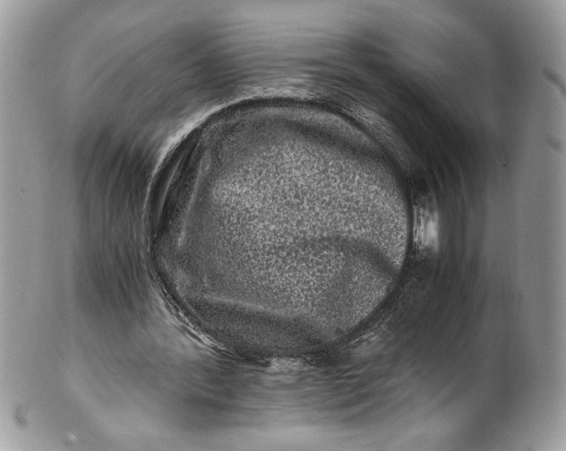 X0000100880388200807071132