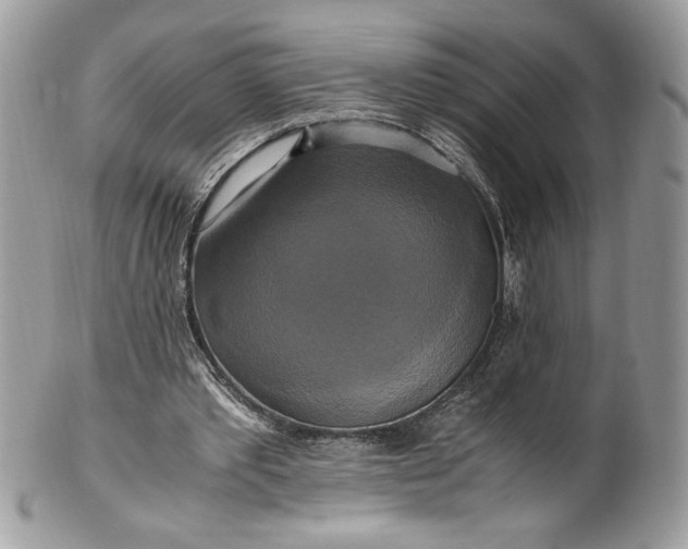 X0000100880389200807071132