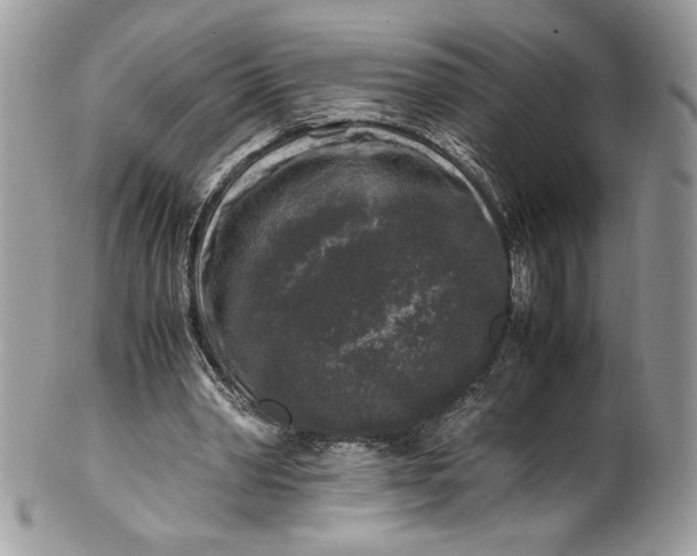 X0000100880390200807071132