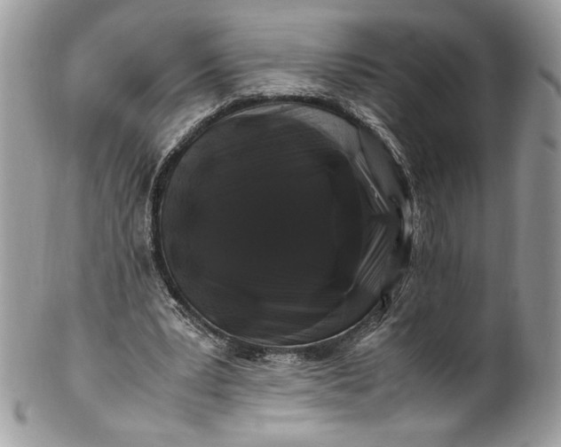 X0000100880391200807071131