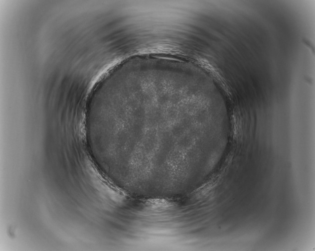 X0000100880392200807071131