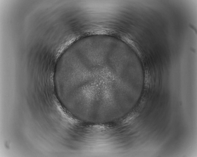 X0000100880394200807071131