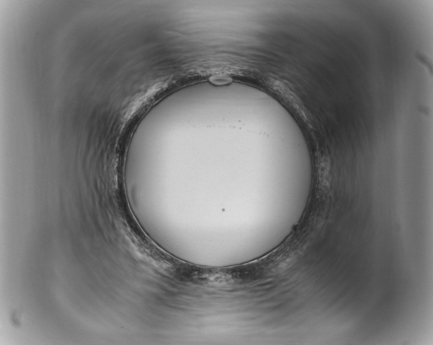 X0000100880395200807071131