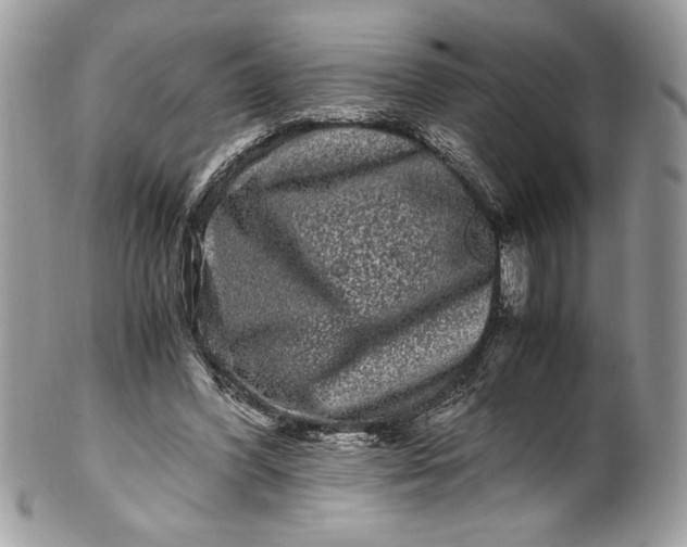 X0000100880396200807071131