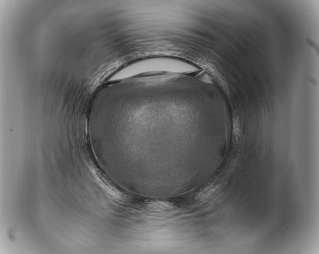 X0000100880397200807071131