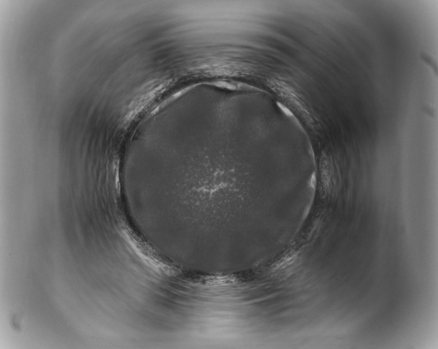 X0000100880398200807071131