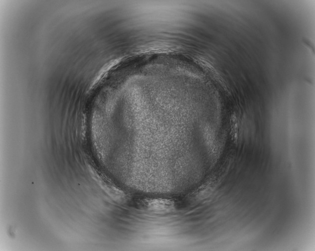 X0000100880400200807071131