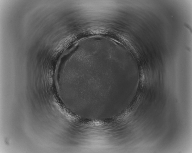 X0000100880402200807071131