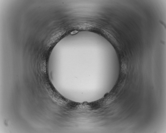 X0000100880403200807071131