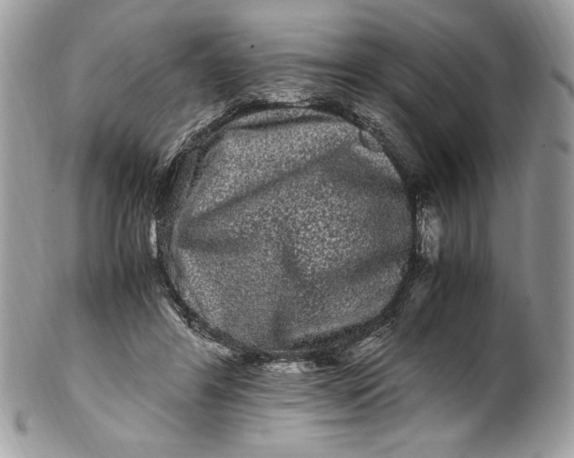 X0000100880404200807071131