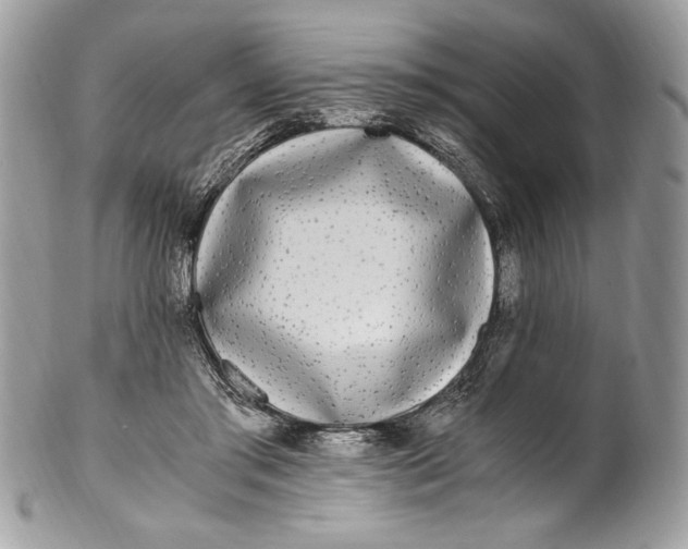 X0000100880405200807071131