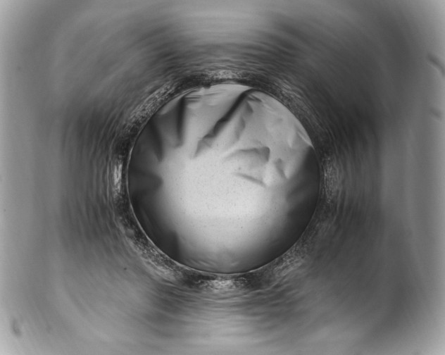 X0000100880406200807071131