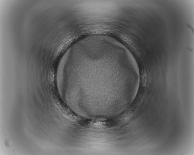 X0000100880407200807071131