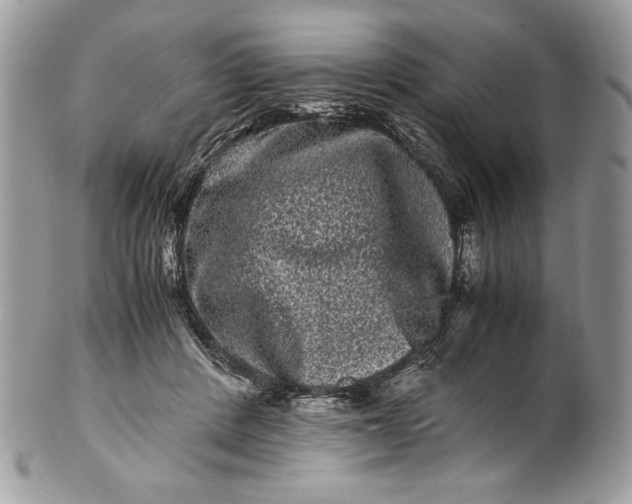 X0000100880408200807071131