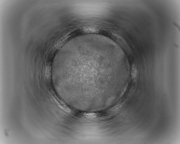 X0000100880409200807071131