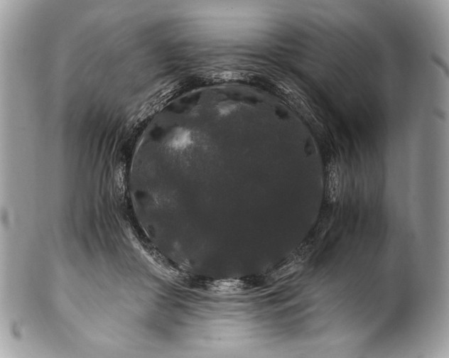 X0000100880410200807071131