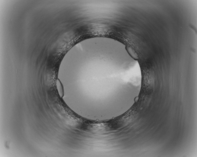 X0000100880411200807071131